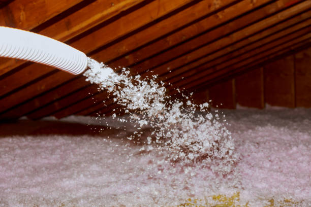 Best Insulation Replacement Services  in Clever, MO