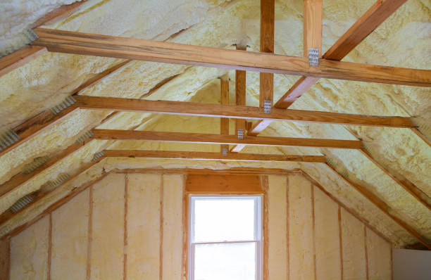 Best Spray Foam Insulation  in Clever, MO