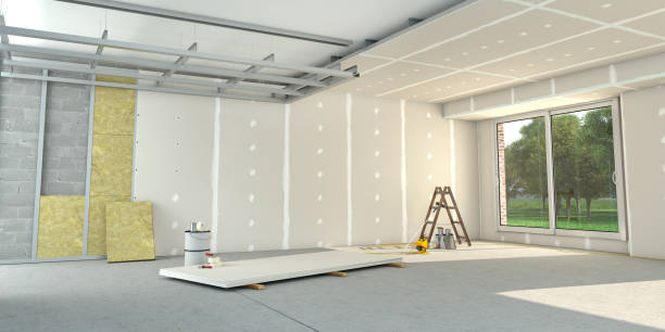 Best Best Insulation Companies  in Clever, MO