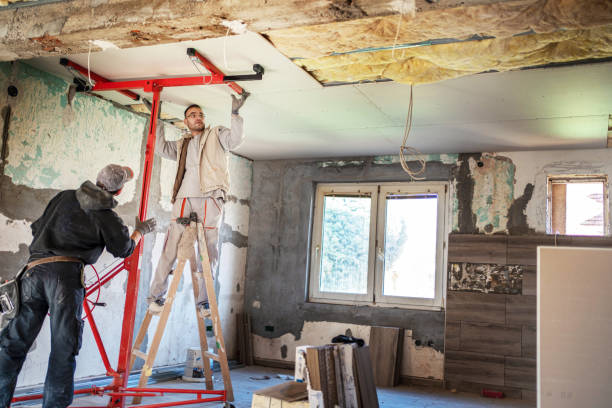 Best Spray Foam Insulation  in Clever, MO