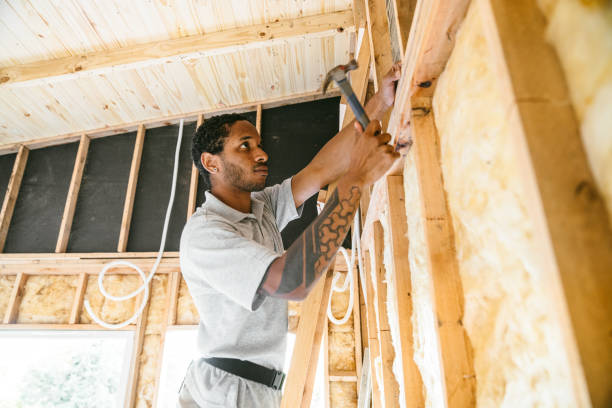 Best Home Insulation Services  in Clever, MO