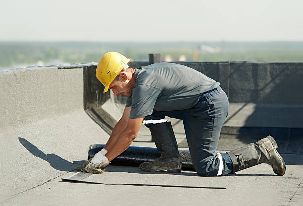 Best Cellulose Insulation  in Clever, MO