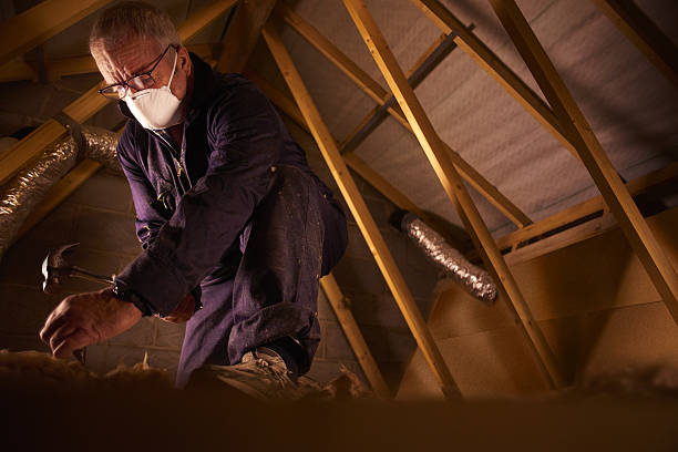 Professional Insulation Contractor in Clever, MO