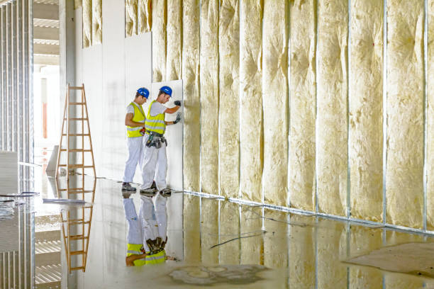 Best Best Insulation Companies  in Clever, MO